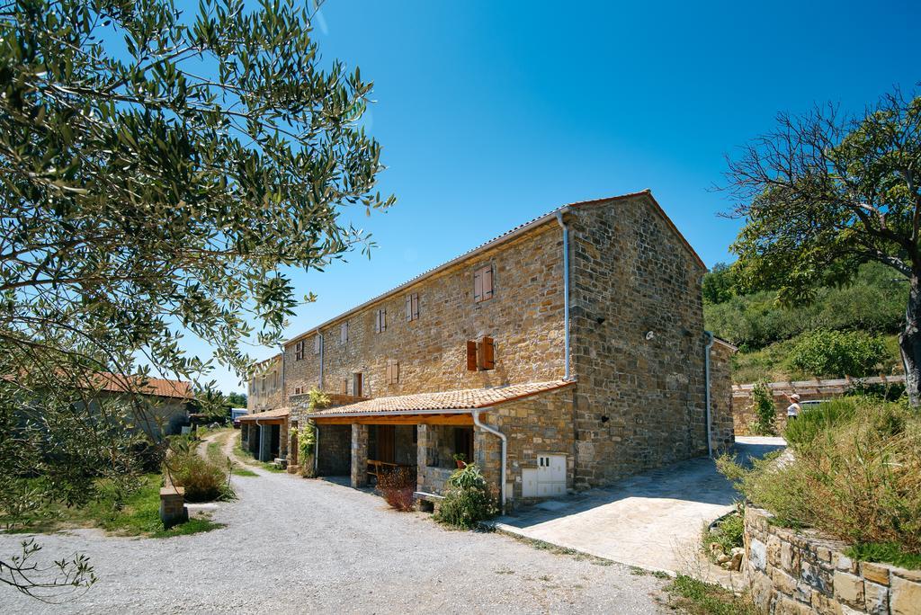 Apartments Casa Vuki Secovlje Exterior photo